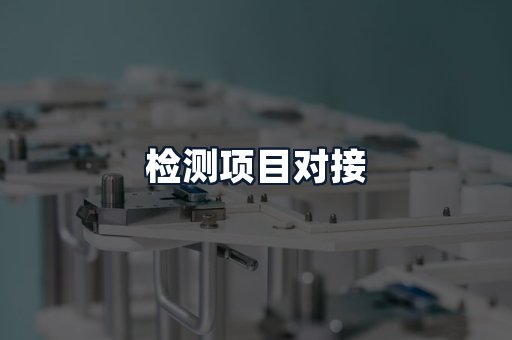 检测项目对接