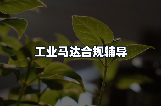 工业马达合规辅导